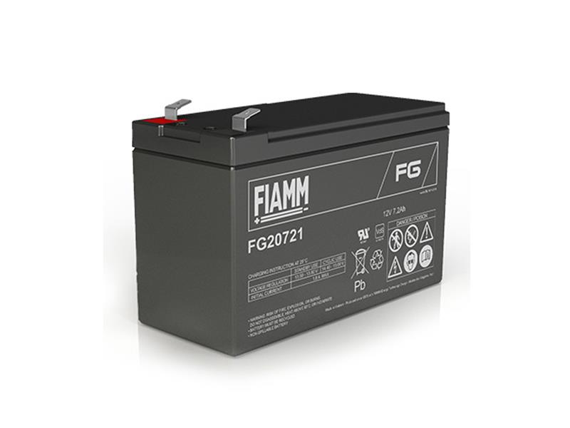 Fiamm acid batteries