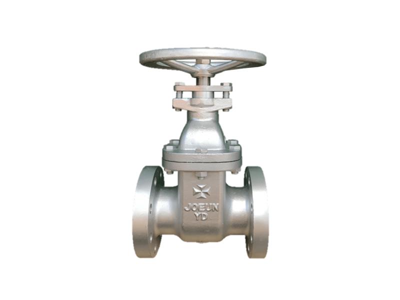 Stainless steel submersible gate valve