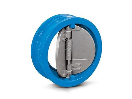 Butterfly check valve 2