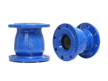 Spring check valve 2