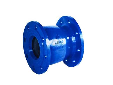 Spring check valve 3