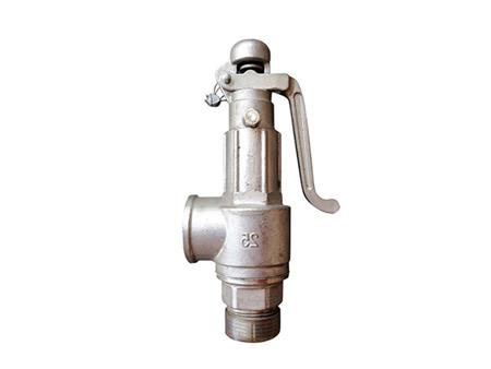 Stainless steel safety valve 3