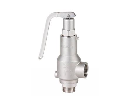 Stainless steel safety valve 1