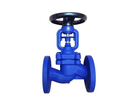 Threaded cast iron globe valve 1