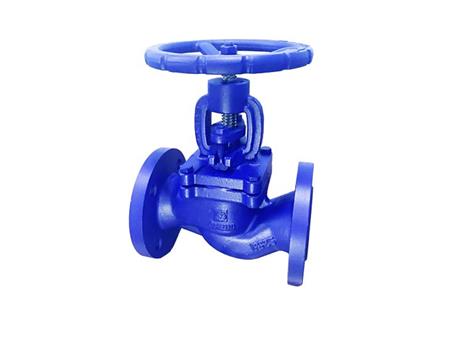 Cast iron globe valve 1