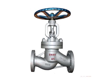 Cast iron globe valve 2