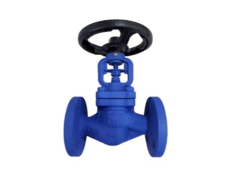 Cast iron globe valve 3