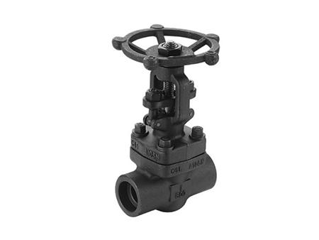 Threaded steel globe valve 1