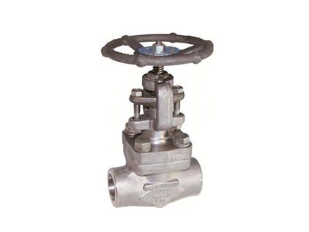 Threaded steel globe valve 2