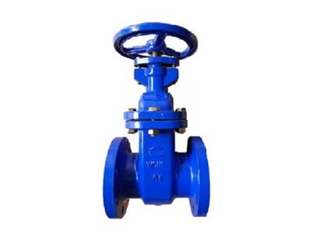 Cast iron gate valve 3