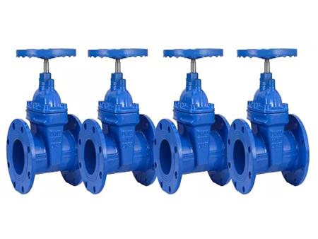 Cast iron gate valve 2