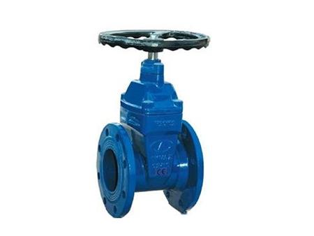 Cast iron gate valve 1