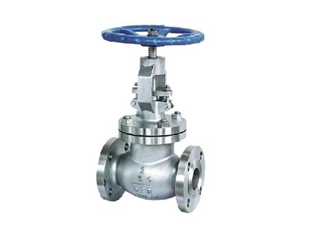 Stainless steel gate valve 1