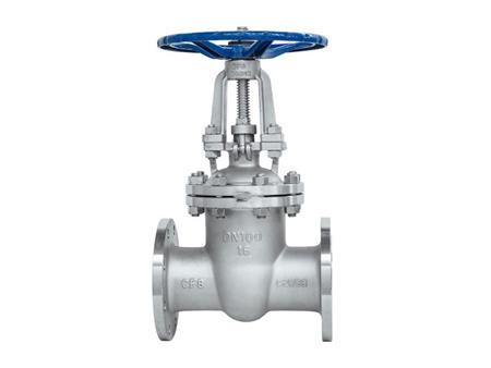 Stainless steel gate valve 2