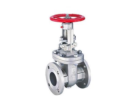 Stainless steel gate valve 3