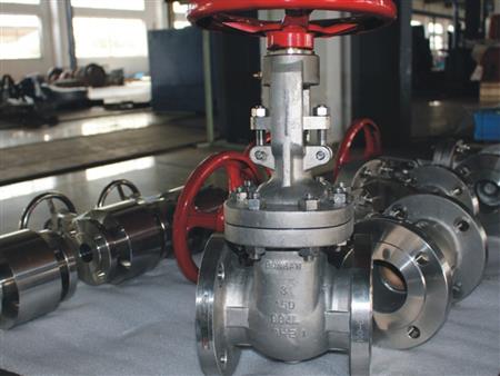 Stainless steel gate valve 3