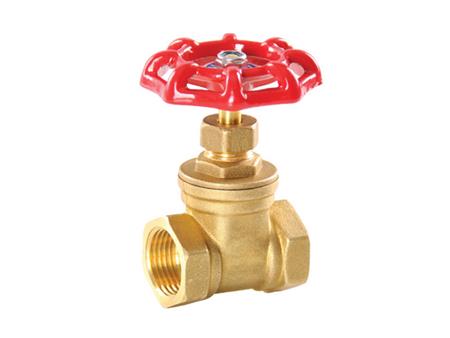 Brass threaded gate valve 1