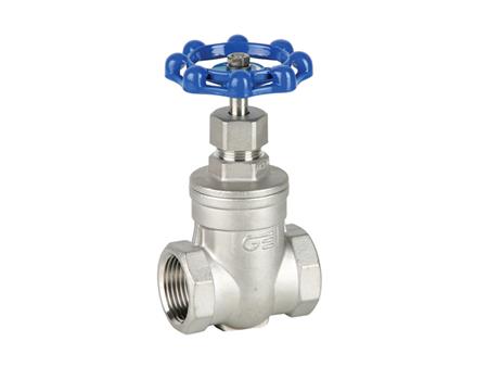 Stainless steel threaded gate valve 1