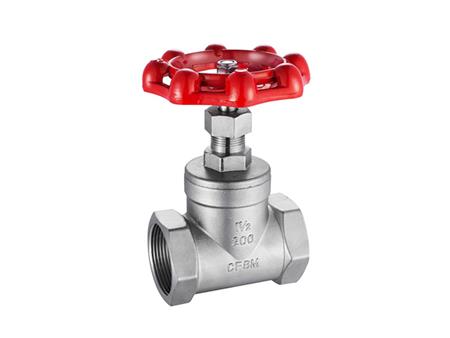 Stainless steel threaded gate valve 2