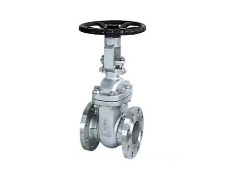 Stainless steel floating stem gate valve 1